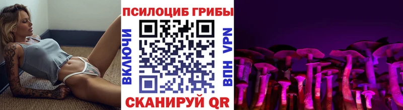 ссылка на мегу как зайти  Новоржев  Галлюциногенные грибы MAGIC MUSHROOMS 
